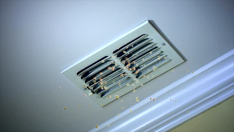 Best Professional Duct Cleaning Services  in Rupert, WV